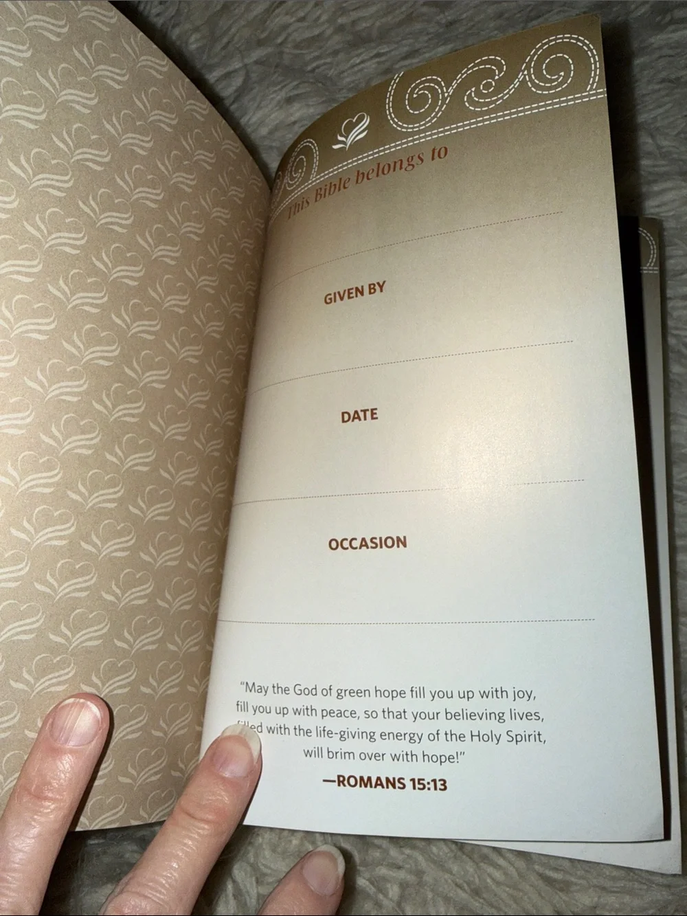 Women of Faith the message devotions book